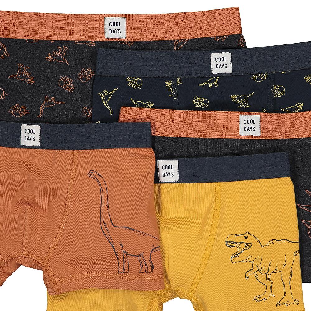 laredoute 5er-Pack Boxerpants "Dinosaurier" bunt LA REDOUTE COLLECTIONS Muttertagsangebot